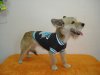 /assets/u/pic.php?path=/up/i/d9285d64a824106070.jpg&width=512